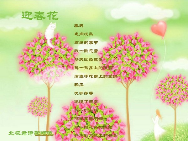 北极君写在春天的诗迎春花-北极君春天诗歌精